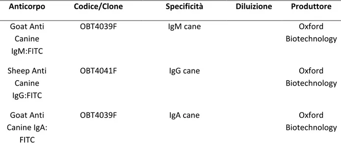 Tabella 5: Anticorpi legati a Fluorocromo