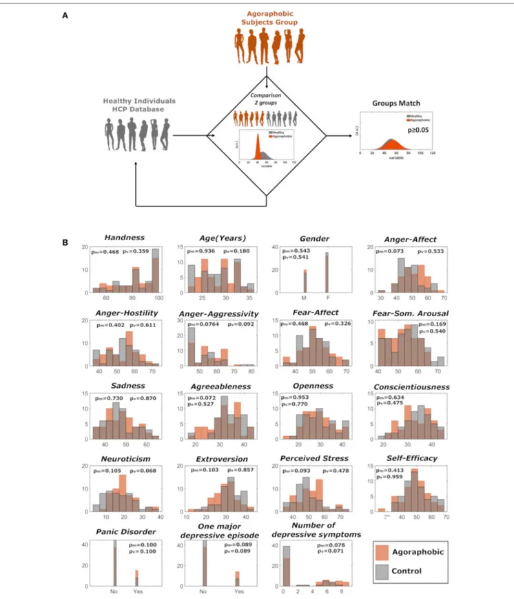 FIGURE 1 | (A) Matching of agoraphic and healthy control groups was performed through repeated random sampling (with replacement) of 52 non-agoraphobic subjects and subsequent statistical testing on matching variables