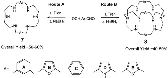 Fig. 1.5 - Synthetic route to polyaza macrocycles and aza cryptands using Schiff base 