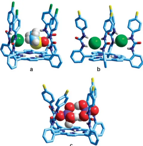 Fig.  5.14  -  Crystal  structures  of  the  anion  complexes  with  tetra-urea  porphyrins