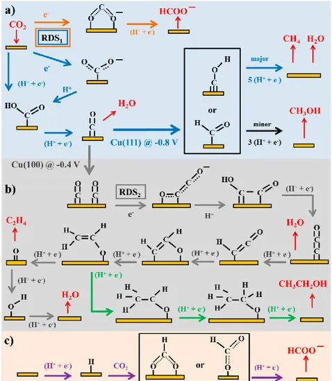 Fig. 1.7  Reaction pathways of CO 2  reduction to different products on transition metal and 