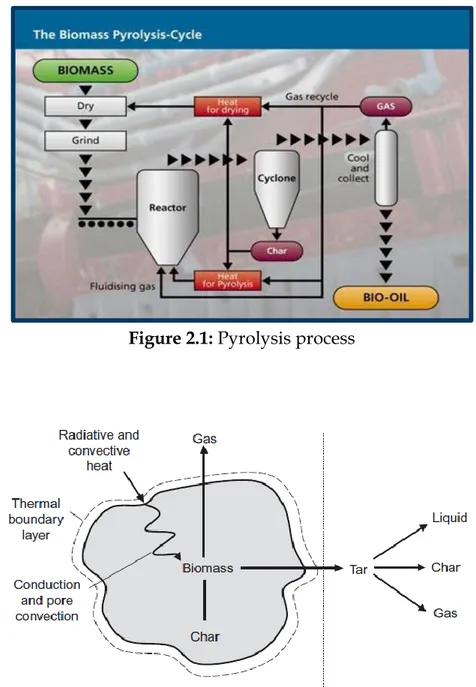 Figure 2.2: Pyrolysis process in a biomass particle and separation 