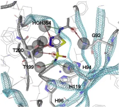 Figure 12. Structure-based pharmacophore model generated using LigandScout [70]  from the X-ray crystal structure of 