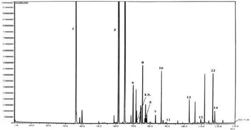 Figure  3.7.  TIC  chromatogram  relative  to  a  second-dimension  perfume  analysis