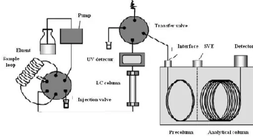 Figure 3.9. An example of a basic LC-GC coupling in an on-line mode [19]. 