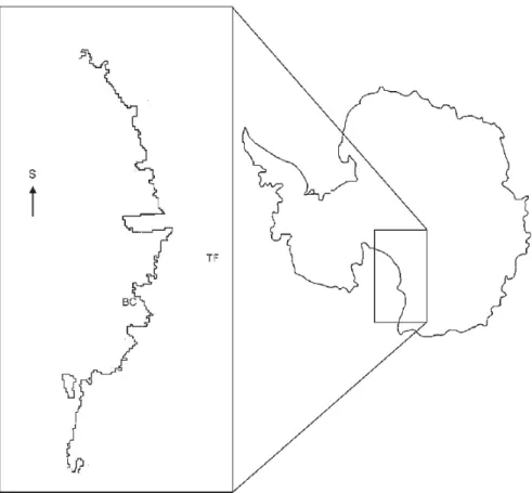 Figure 6.1  Sampling sites were located in Antarctica. The brines were collected in Boulder Clay (BC) and in  Tarn Flat (TF) (Cannone et al., 2008)