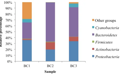 Figure 6.5  Bacterial community structure in brine samples in Boulder Clay