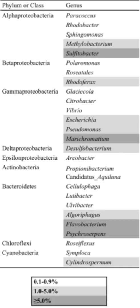 Table 6.6.  Genera retrieved within the total bacterial community in the BC1 brine. 