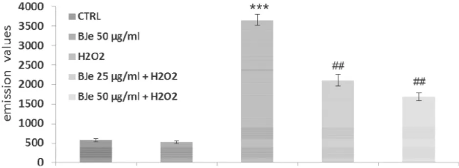 Fig.  6.  Cytofluorimetric evaluation  of lipid hydroperoxides. The A549 cells incubated 