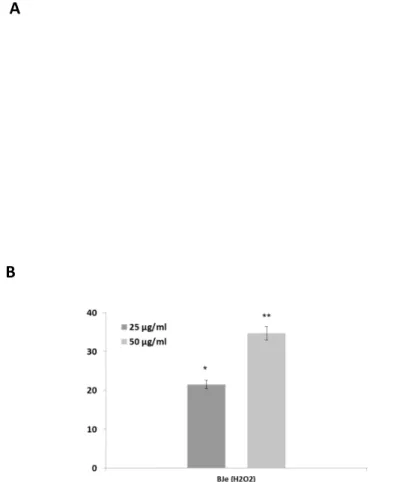 Fig. 7. Effect of BJe on mitochondrial membrane potential in H 2 O 2 -treated cells. The 