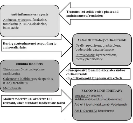 Fig.  10:    Conventional  therapeutic  approaches  used  for  the  IBD  treatment  (modified  from 