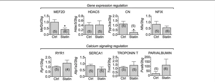 FIGURE 4 | Real-time PCR analysis of mRNA expression level of genes involved in ClC-1 chloride channel regulation and calcium signaling in VL muscle biopsies of patients in therapy with statin showing sign of myopathy
