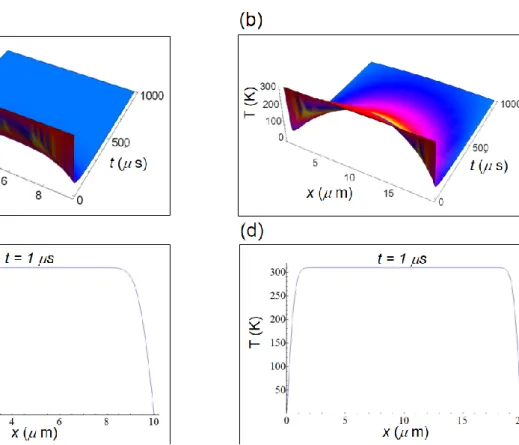 Figure S1. Temperature  distribution inside a  human  cell  according to  equations  (S4) and  (S5)