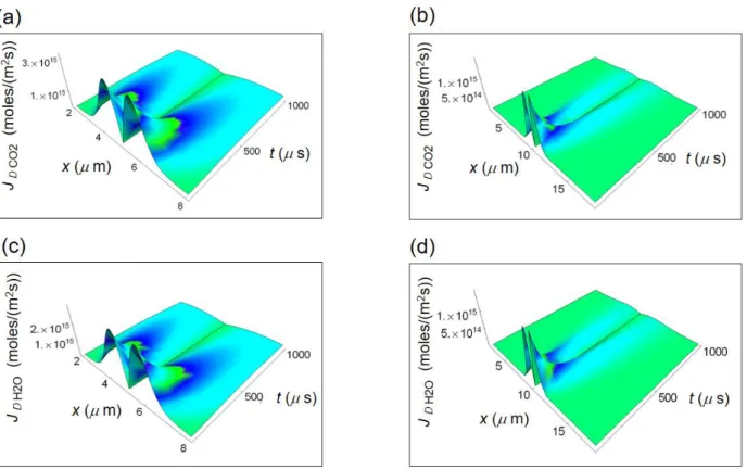 Figure S5. Diffusion flow of the products of the respiration in a cell according to equation (S15)