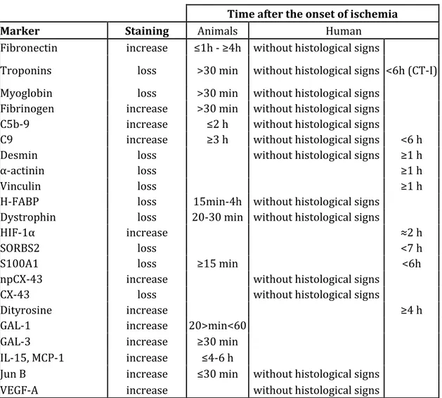 Table 1. Summary of the result for the main evaluate immunohistochemical markers with  the description of change induced by ischemia and the temporal timeline of evaluation