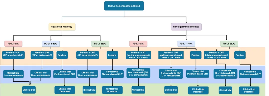 Figure 4. New therapeutic algorithm in advanced/metastatic NSCLC with available therapeutic options (From Russo A, et al