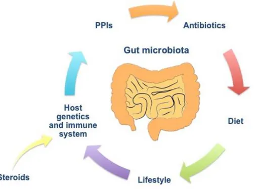 Figure 1 Multiple factors influencing gut microbiota composition (From Rossi G…Russo 