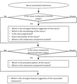 Figure  2.1.  Schematic  illustration  of  the  3  mains  ‘funnel  questionnaire’  used  for  the 