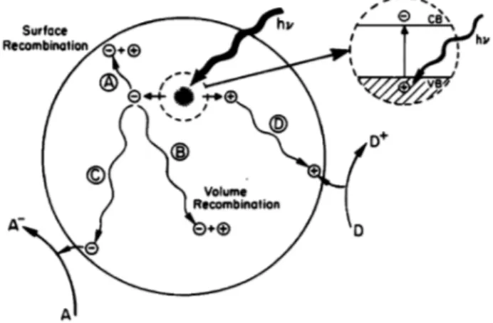 Figure 13. Schematic representation of the photo-excitation in semiconductors [37]