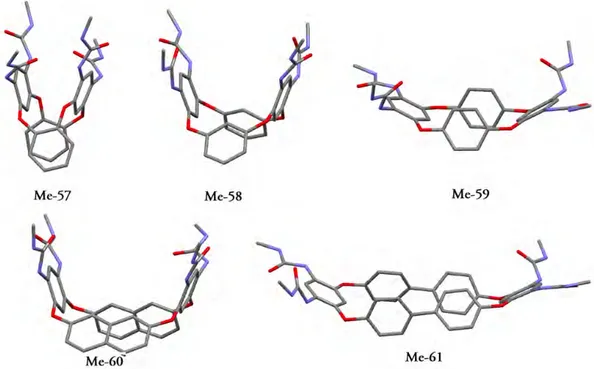 Figure 11. Optimized ground-state geometries for model compounds Me-57–Me-61 (derived 