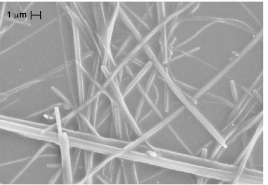 Figure  50.  Scanning  electron  micrograph  of  fibres  formed  by  slow  evaporation  of  a 