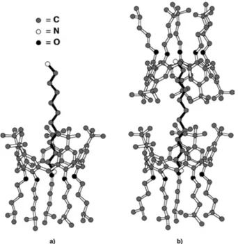 Figure 53. Molecular models of a) the 1:1 inclusion complex and b) the 2:1 capsular assembly 