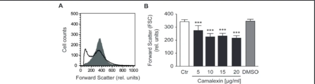 Fig. 1. Effect of Camalexin on erythrocyte forward scatter. A. Original histogram of forward scatter of eryth-