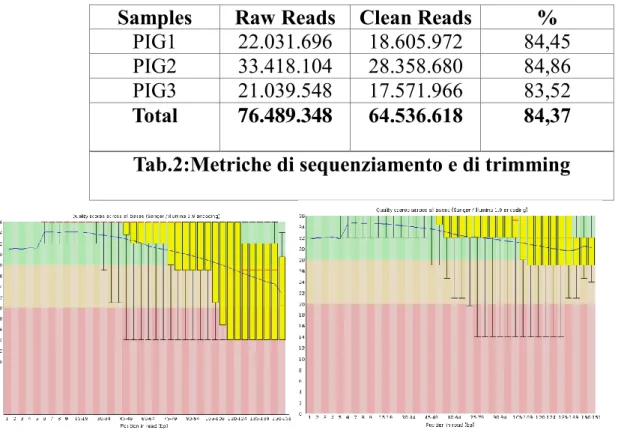 Fig. 11: Comparazione qualità reads prima e dopo il processo di Trimming. 