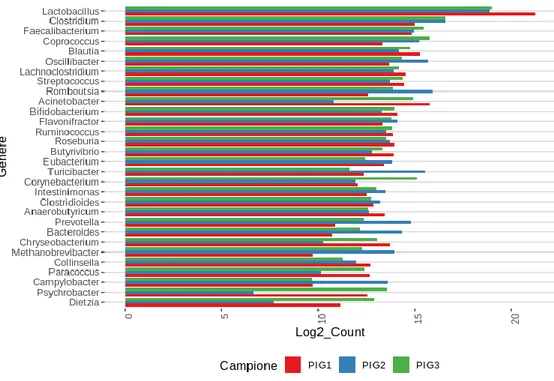 Fig.  12:  Barplot  raffigurante  i  30  principali  generi  batterici  per  campione  riscontrati in questo studio.
