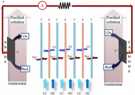 Figure 1.6: Schematic representation of the electrodialysis process used for water decontamination.