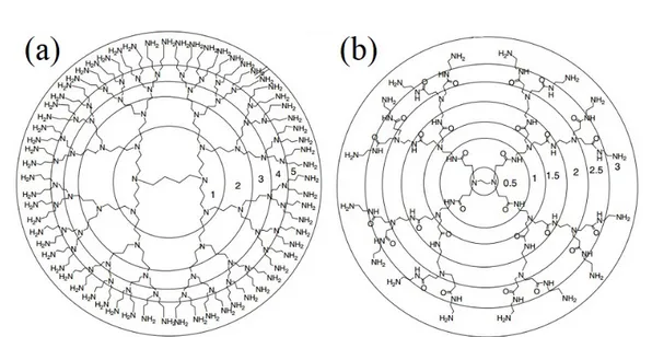 Figure 1.12: Representation of two dendrimers: (a) Poly(Propylene Imine) (PPI) and (b) Poly(AMido-AMine) (PAMAM) dendrimers with generation of shell  depic-tion, as example.