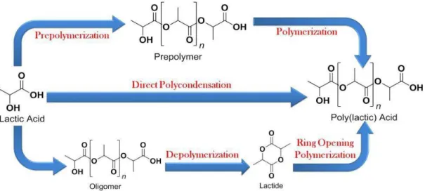 Figure 6: Pathways for PLA synthesis 