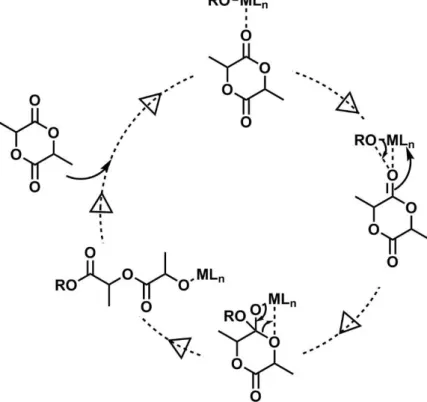 Figure 13: Coordination-insertion mechanism for ROP of lactones. R= growing polymeric chain 