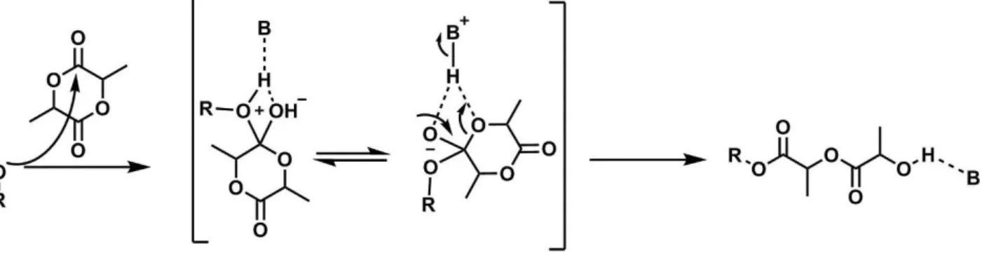 Figure 17: Initiator/chain-end activation mechanism. B is an organocatalyst (e.g. DBU)