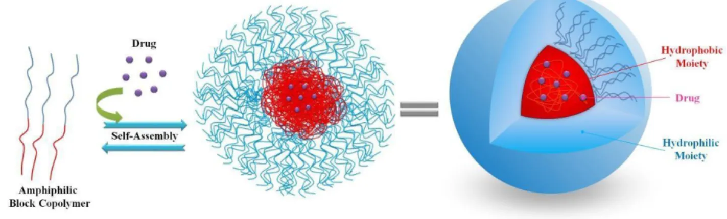 Figure 20: Nanoparticle formation and structure 