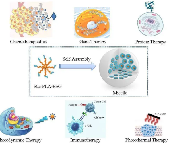 Figure 22: Schematic illustration of PLA-PEG micelles and their biological applications 54 