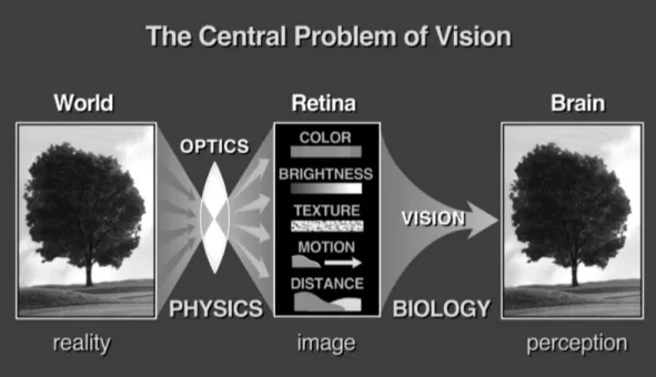 Figura	2.15	-	The	central	problem	of	vision 	