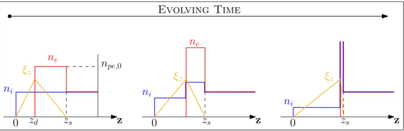 Figure 1.17: Evolving time for profile model in 1D of ion density n i (blue line), electron density