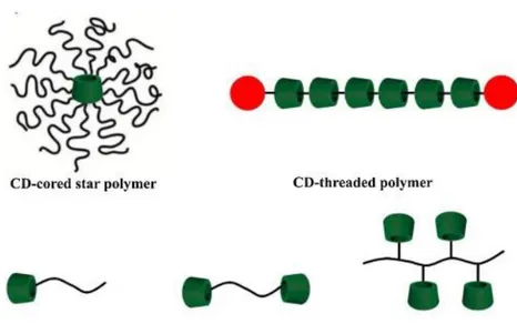 Figure 6 Some examples of CD-based polymer architectures 53
