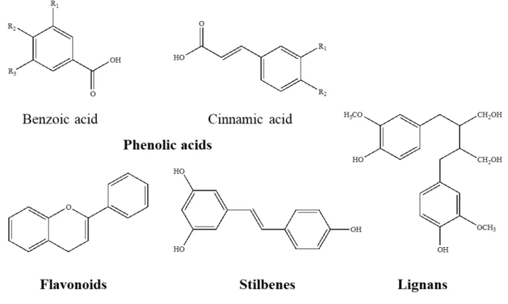 Figure 3. Chemical structures of the different classes of polyphenols  3.4.2 Phenolic acids 