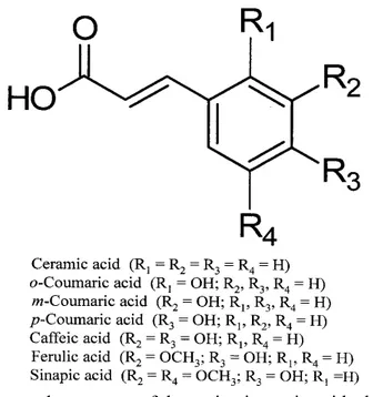 Figure 4. The names and general structures of the main benzoic acids derivate. 
