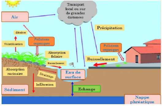 Figure 2: Principales voies de transfert des polluants chimiques dans les milieux  aquatiques 