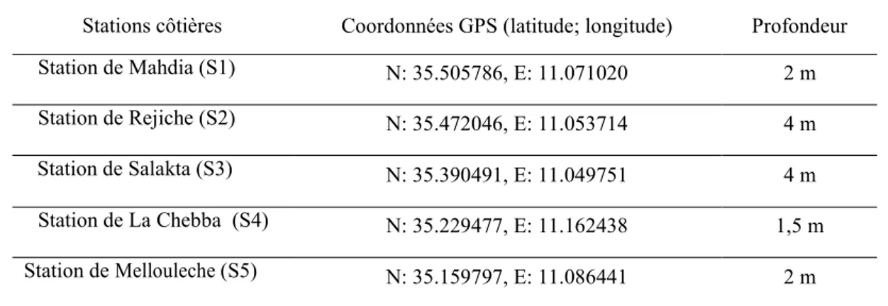 Tableau 4: Les coordonnées GPS des points d’échantillonnage des herbiers de posidonie 