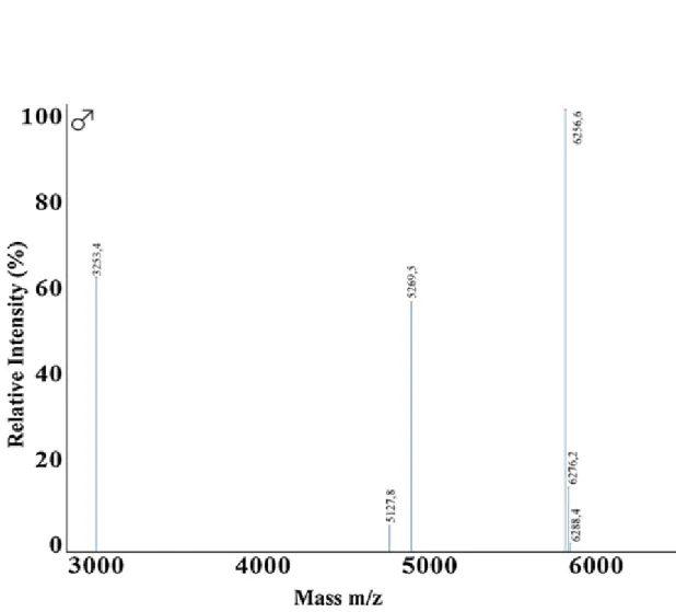 Figura 3. Rappresentazione di spettri di massa con desorbimento/ionizzazione laser assistito da matrice a tempo di volo  