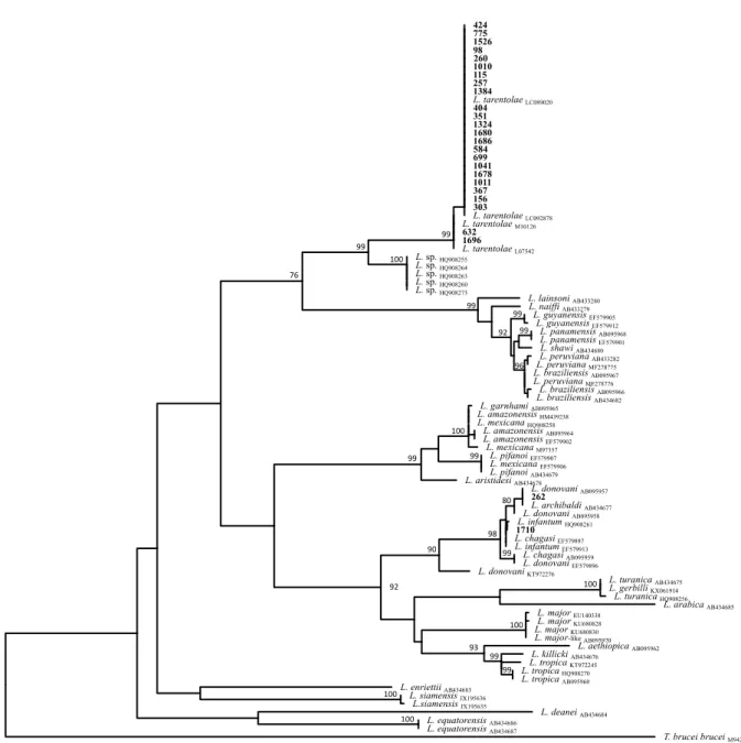 Figura  2.    Albero  filogenetico  di  massima  somiglianza  basato  su  sequenze  di  allineamento  multiple  non  ambigue  di 