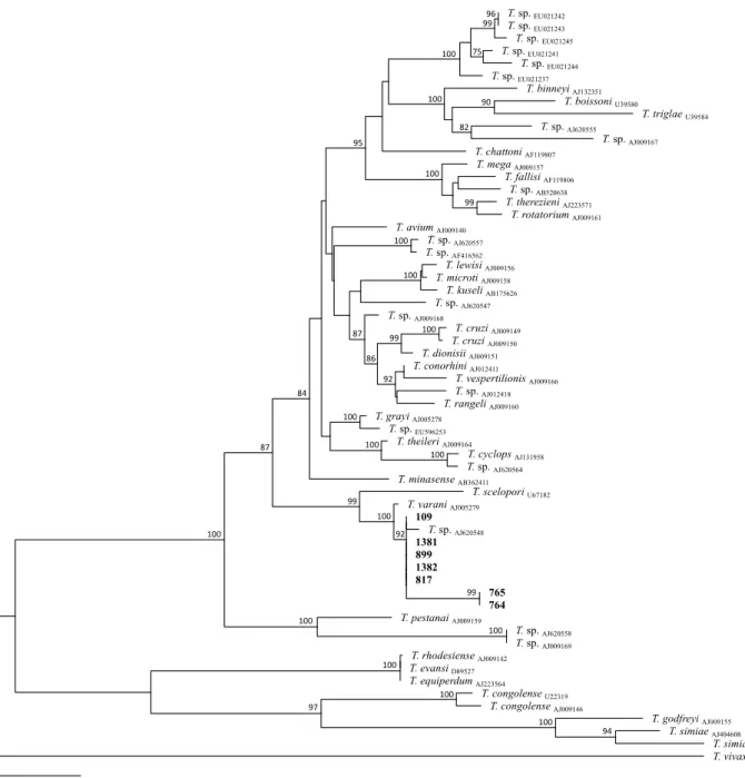 Figura  3.  Albero  filogenetico  di  massima  somiglianza  basato  su  sequenze  di  allineamento  inequivocabile  di  SSU- 