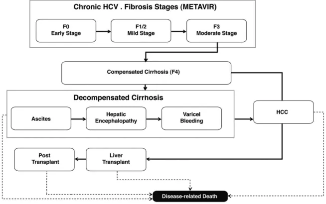 FIG. 1. Markov model of progression of HCV-related liver disease. Potential outcomes of chronic liver disease progression are deﬁned as speciﬁc health states reported in each of the boxes