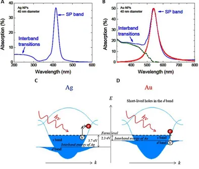 Figure 1-2. Optical absorption spectra for A) Ag and B) Au NPs embedded in a silica matrix  with dielectric function ε = 2.25 (diameter 40 nm)