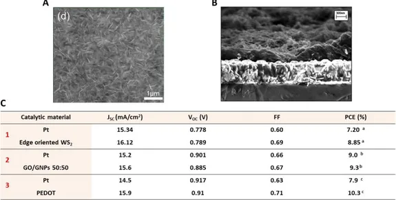 Figure 1-24 SEM images of the following catalytic materials on FTO glass: A) edge oriented  tungsten disulfide (WS2), B) cross-section of poly(3,4-propylenedioxythiophene) (PEDOT)
