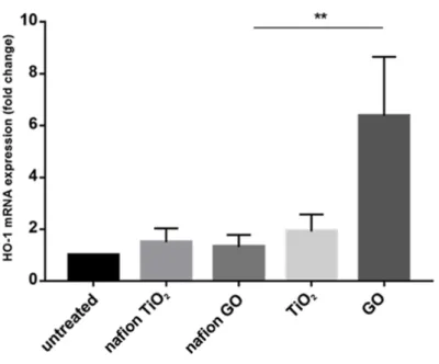 Fig. 10 Espressione genica dell'mRNA di iNOS in zebrafish dopo esposizione a nanoparticelle libere e  nanocompositi